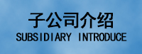 子公司介紹